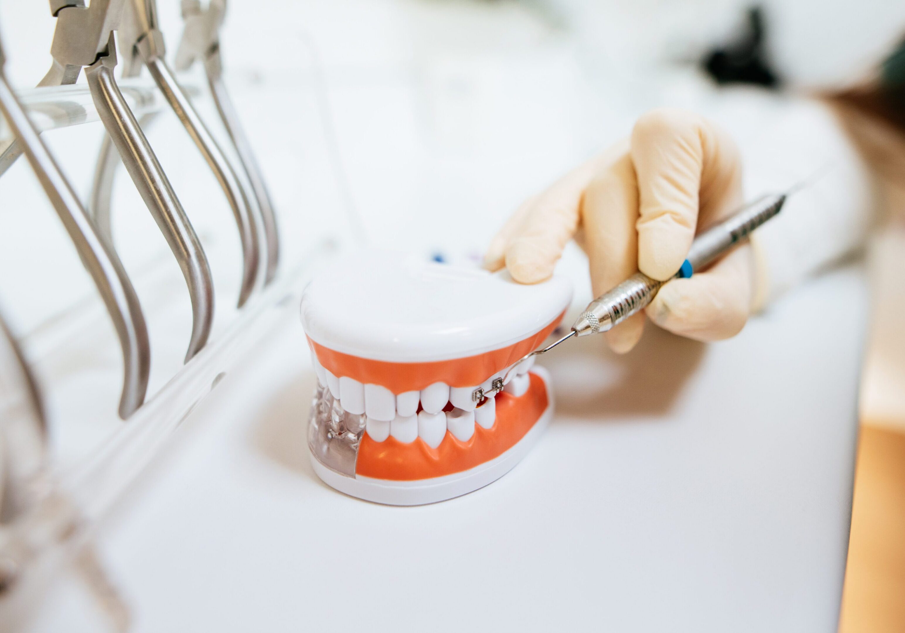 Human teeth mockup with braces at a dentist office